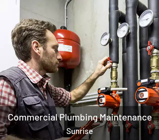  Commercial Plumbing Maintenance Sunrise