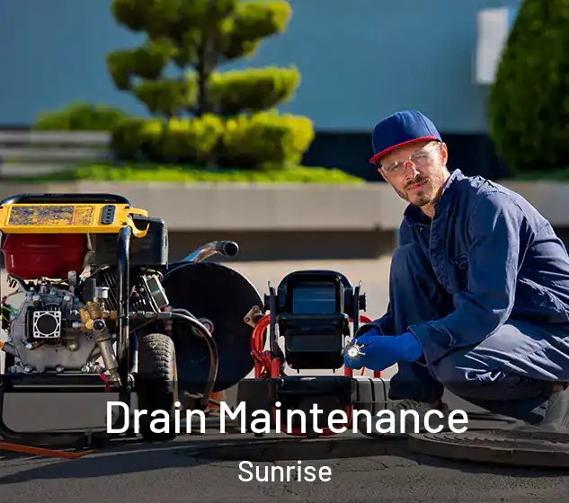  Drain Maintenance Sunrise