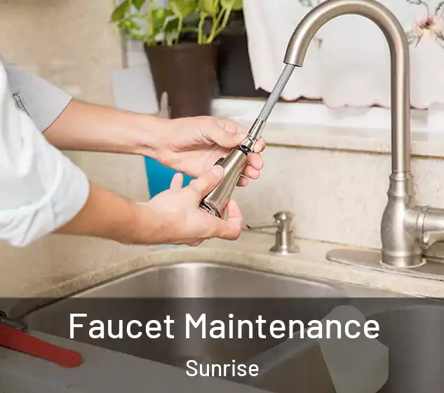  Faucet Maintenance Sunrise