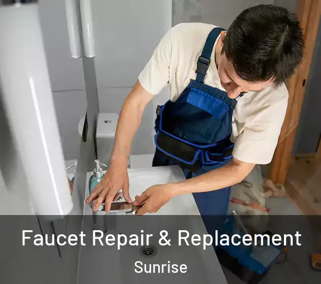 Faucet Repair & Replacement Sunrise