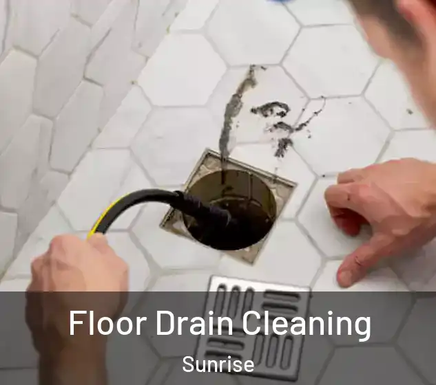  Floor Drain Cleaning Sunrise