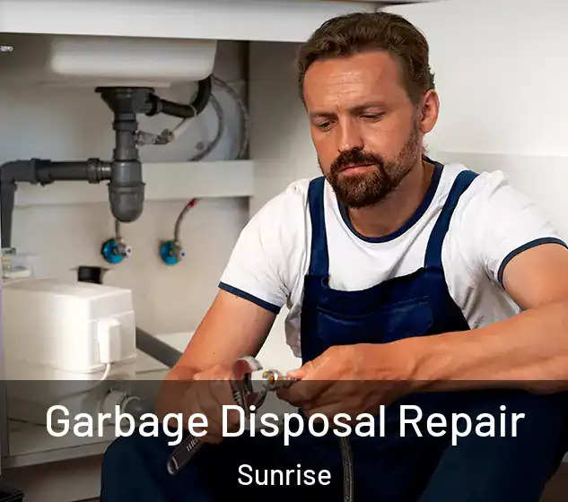  Garbage Disposal Repair Sunrise