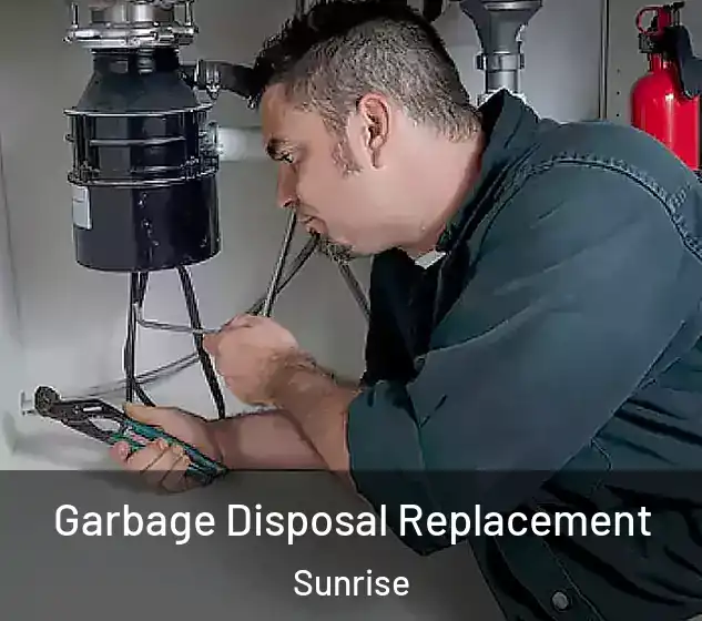  Garbage Disposal Replacement Sunrise