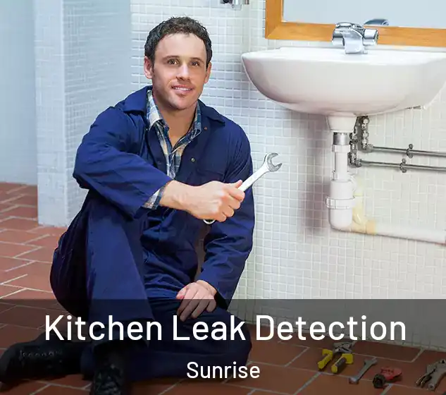  Kitchen Leak Detection Sunrise