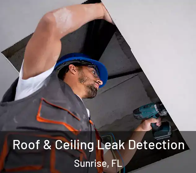  Roof & Ceiling Leak Detection Sunrise, FL