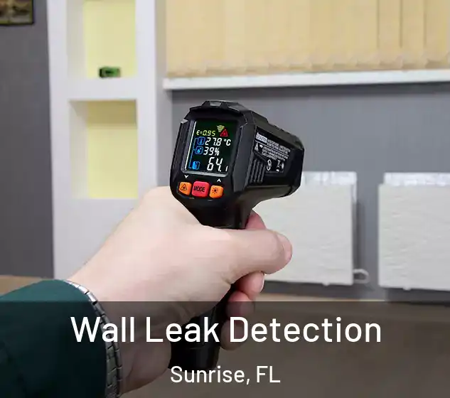  Wall Leak Detection Sunrise, FL